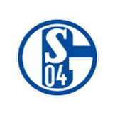 FC Schalke 04 - acejersey