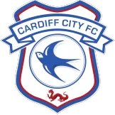 Cardiff City - acejersey