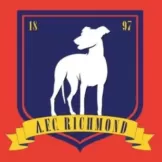 AFC Richmond - acejersey