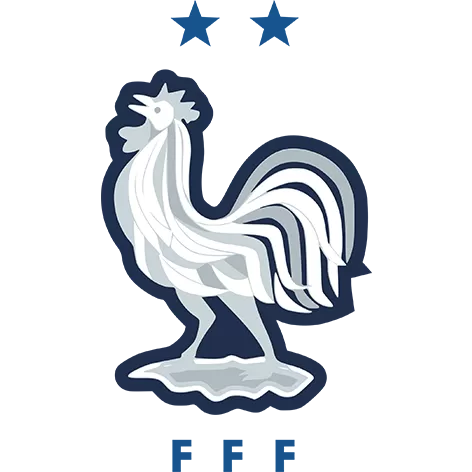 France - acejersey