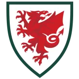 Wales - acejersey