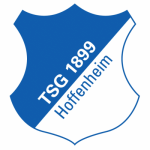 Hoffenheim - acejersey