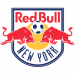 New York RedBulls - acejersey