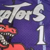 Men's Toronto Raptors Tracy McGrady #1 Purple Hardwood Classics Jersey 1998/99 - acejersey