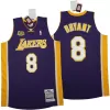 Men's Los Angeles Lakers Kobe Bryant #8 Purple Hardwood Classics Jersey 2000/01 - acejersey