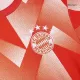 Men's Bayern Munich Pre-Match Soccer Jersey 2023/24 - Fans Version - acejersey