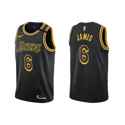 Youth Los Angeles Lakers LeBron James #6 Black Swingman Jersey - acejersey