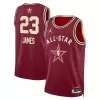 Men's All Star LeBron James #23 Swingman Jersey 2024 - Western Conference - acejersey