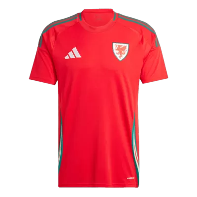 Men's Wales Home Soccer Jersey Euro 2024 - acejersey