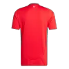 Men's Wales Home Soccer Jersey Euro 2024 - acejersey