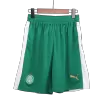 SE Palmeiras Away Soccer Shorts 2024/25 - acejersey