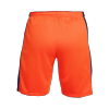 Netherlands Home Soccer Shorts Euro 2024 - acejersey