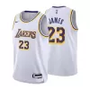 Youth Los Angeles Lakers LeBron James #23 White Swingman Jersey 2022/23 - Association Edition - acejersey