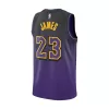 Men's Los Angeles Lakers Lebron James #23 Purple Swingman Jersey 2024 - City Edition - acejersey